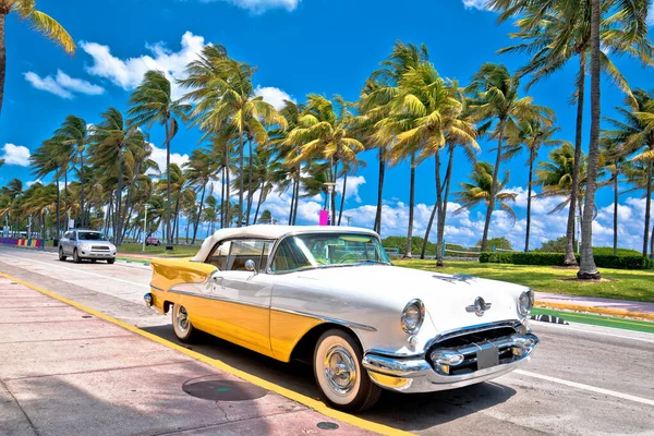 Miami South Beach Ocean Drive Palmer Och Strandnära Färgglad Utsikt — Stockfoto