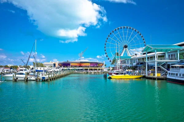 Miami Hamn Och Jätte Pariserhjul Utsikt Florida State Usa — Stockfoto