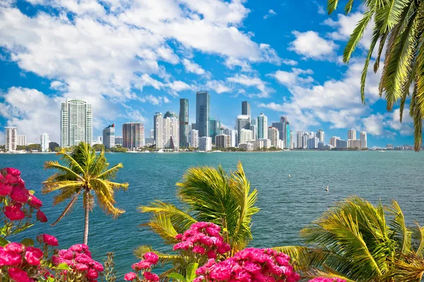 Miami Waterfront Skyline Genom Handflator Och Blommor Utsikt Florida Usa — Stockfoto