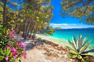 Hırvatistan 'ın Dalmaçya bölgesinde Pakostan, Zadar Riviera' daki Idyllic turkuaz kayalık plaj manzarası