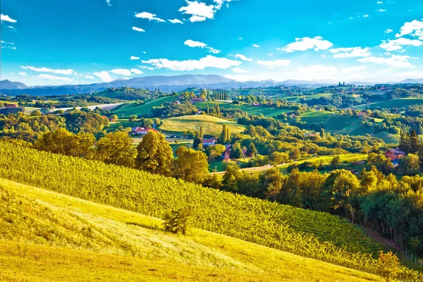 Gröna Landskapet Medjimurje Regionen View Från Hill Norra Kroatien — Stockfoto