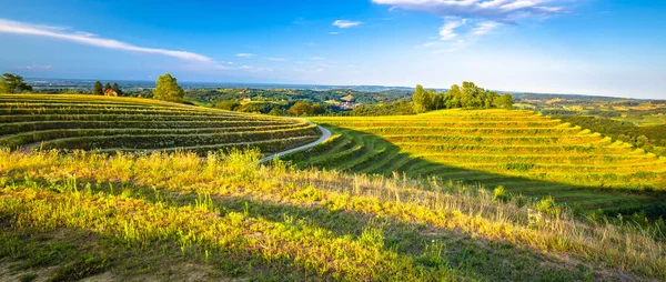 Terraços Agrícolas Maderkin Breg Colina Vista Panorâmica Região Medimurje Croácia — Fotografia de Stock