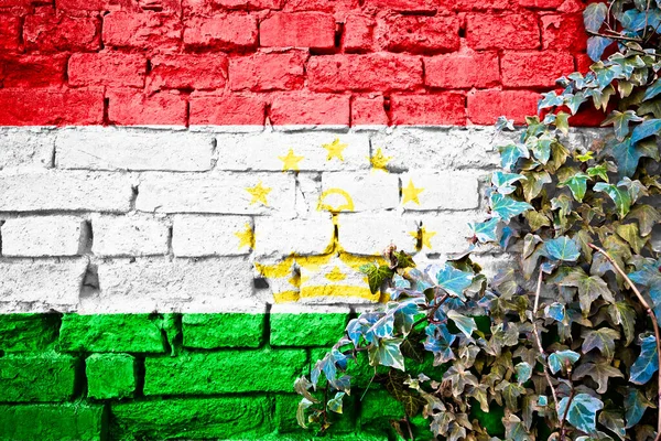 Tadzjikistan Grunge Vlag Bakstenen Muur Met Klimop Plant Land Symbool — Stockfoto