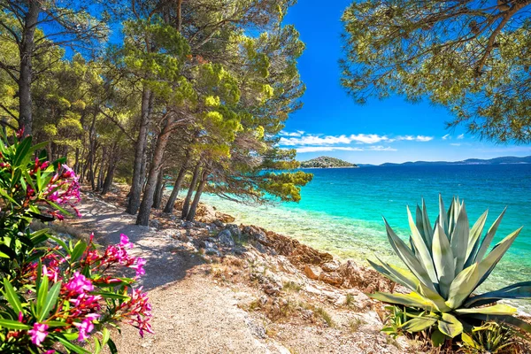 Idyllique Turquoise Plage Rocheuse Vue Paysage Sur Riviera Zadar Pakostane — Photo
