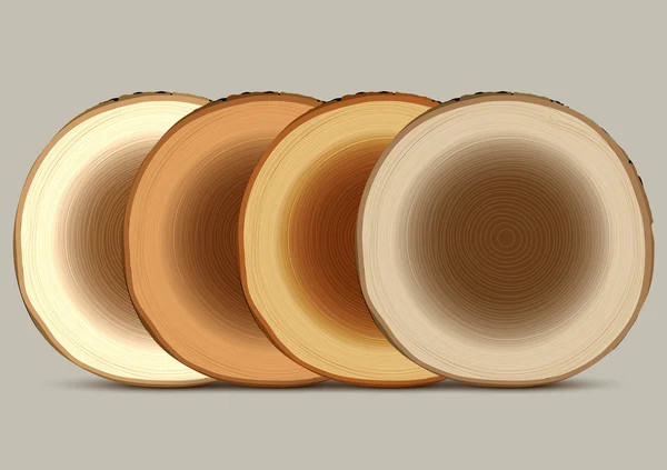 Différentes sections transversales de souche d'arbre — Image vectorielle