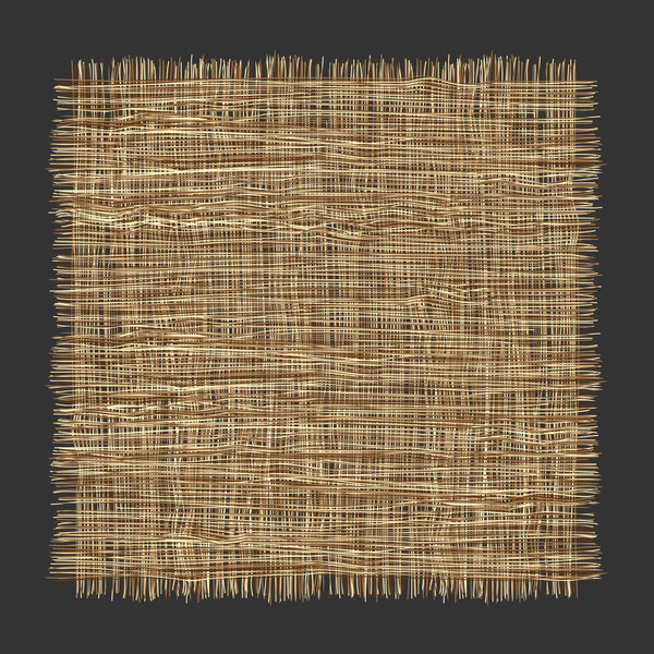 Vector organic weave pattern