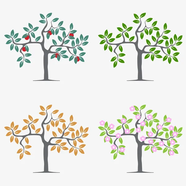 Seasonal trees — Stock Vector