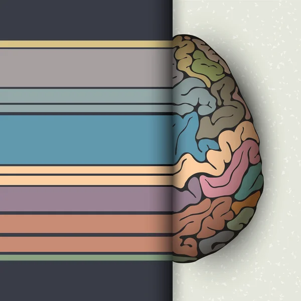 人間の脳の概念 — ストックベクタ