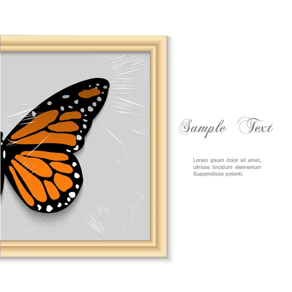 Butterfly in wooden frame — Stock Vector