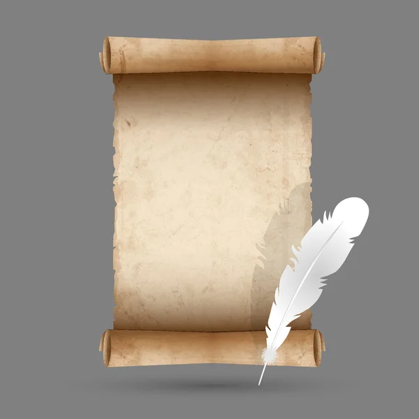 Old scroll paper with feather — Stock Vector