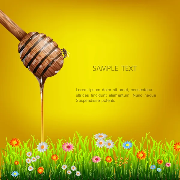 Honey dipper with bee and grass — Stock Vector