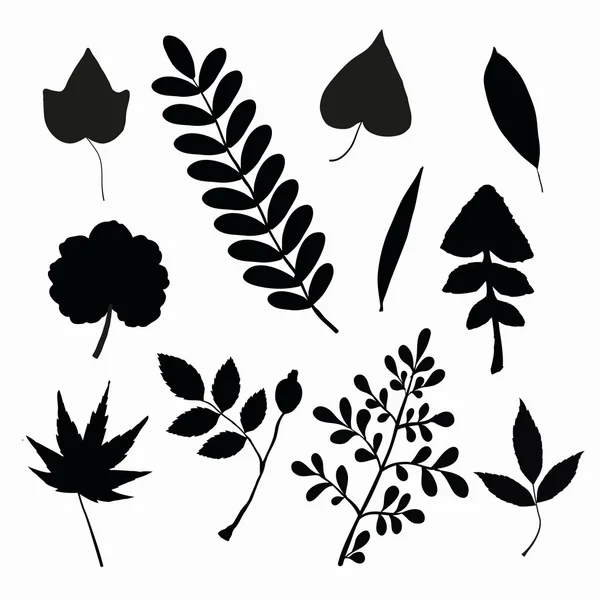 Ensemble de silhouettes de feuilles noires — Image vectorielle