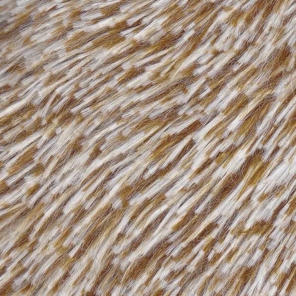 Brown fur for background — Stock Photo, Image