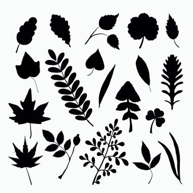 yaprak silhouettes