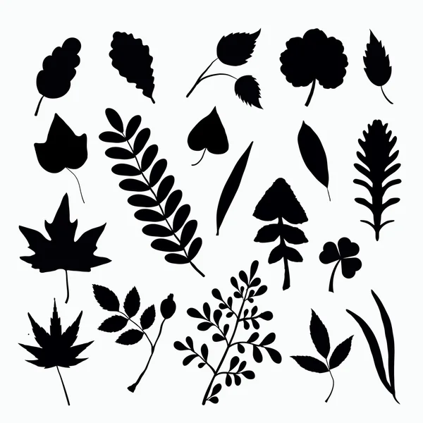 Leaf silhouettes — Stock Vector