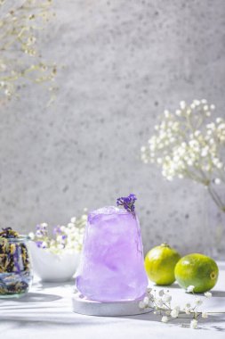 Lavender Gin and Tonic Punch Cocktail. Elegant glass filled with violet cocktail or mocktails surrounded by ingredients, lavender and white gypsophila flowers on light gray table surface. Ready for drinking.