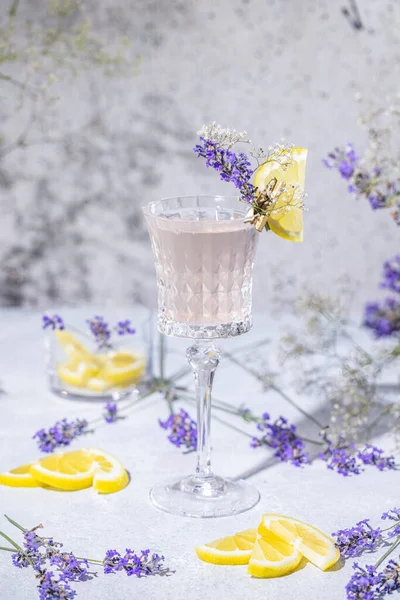 Elegante Vaso Espumosa Lavanda Cóctel Cócteles Rodeados Ingredientes Superficie Mesa —  Fotos de Stock