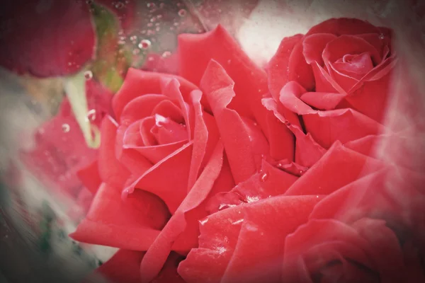 Mazzo di fiori di rose rosse per il giorno di San Valentino stile di colore vintage — Foto Stock