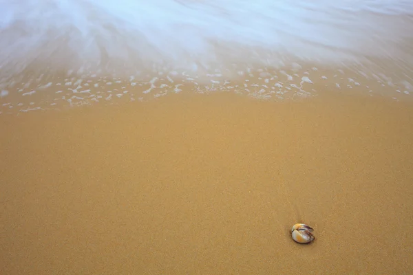 Vague sur la plage de sable clair — Photo