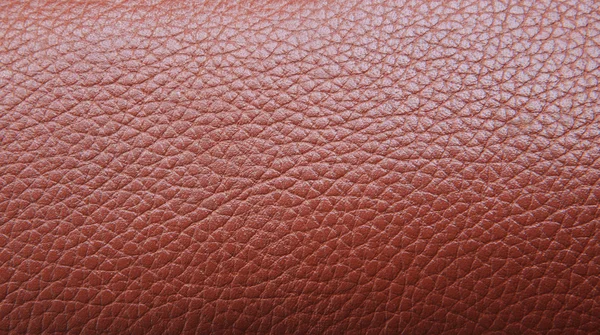 Leather background — Stock Photo, Image