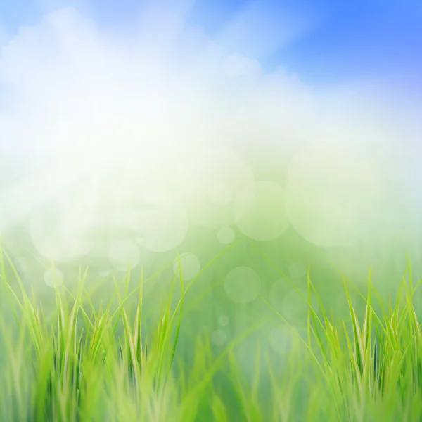 Green nature background — Stock Photo, Image