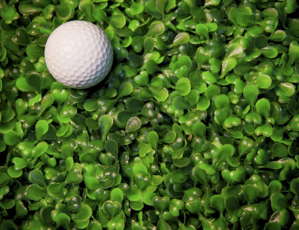 Μπάλα του γκολφ, πράσινο γρασίδι πεδίο — Φωτογραφία Αρχείου