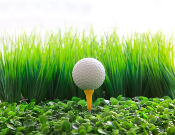 Golf ball and green grass with equipment — Stock Photo, Image