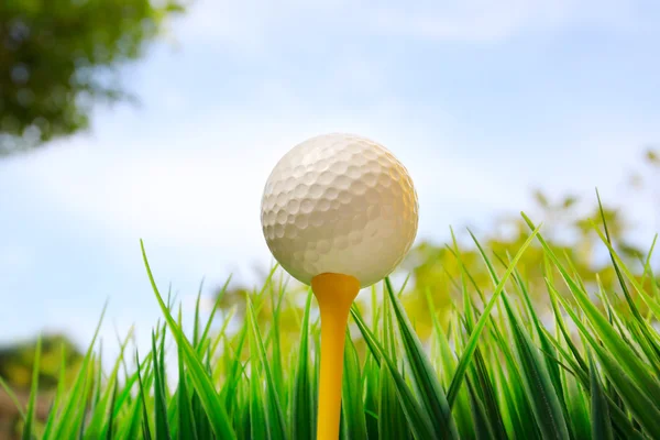 Bola de golfe e grama verde com equipamento — Fotografia de Stock