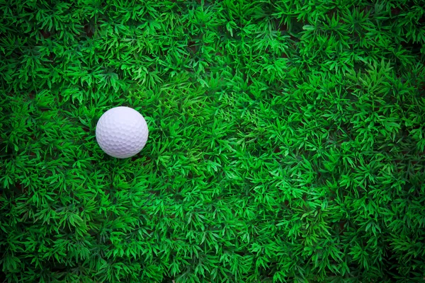 Golfball und grünes Gras mit Ausrüstung — Stockfoto