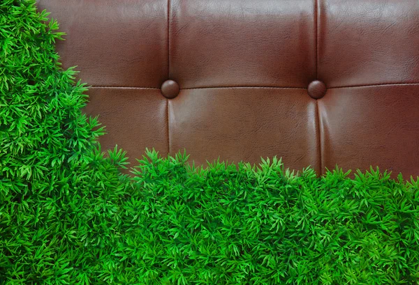 Green grass and leather — Stock Photo, Image