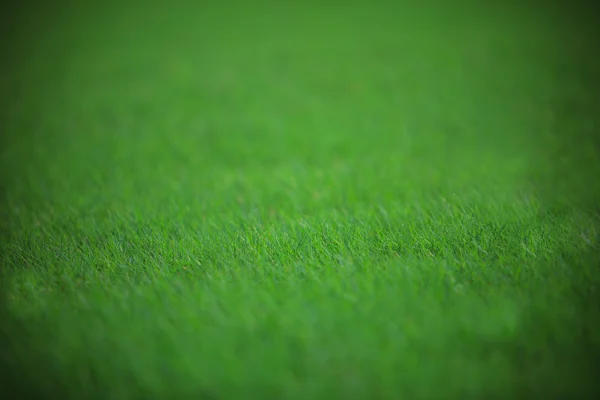 Yeşil Çimen Alanı — Stok fotoğraf