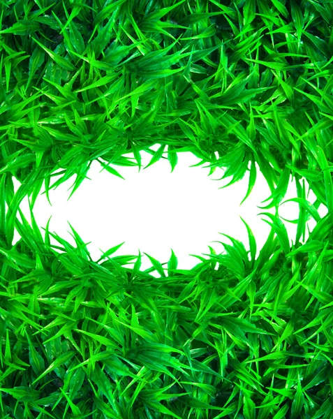 Yapay yeşil çim beyaz boşluk ile arka fon olarak kullanın — Stok fotoğraf