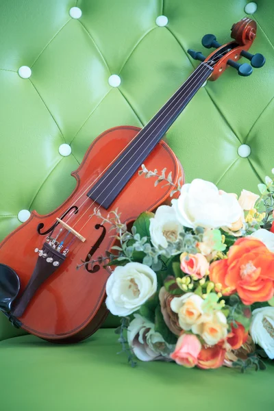 Скрипка на прекрасном фоне — стоковое фото