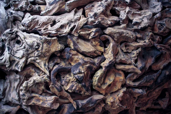 Background of dry wood tree root jigsaw on wall — Stock Photo, Image