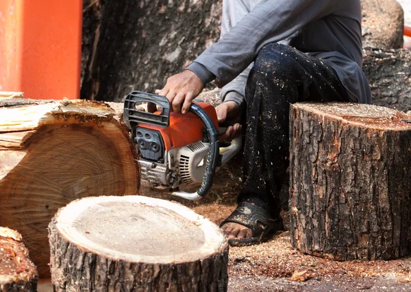 Lumberjack skära en trädstam med motorsåg — Stockfoto