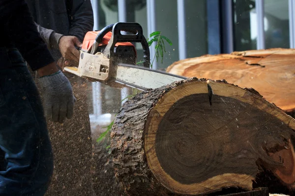 Houthakker snijden een boomstam met chainsaw — Stockfoto