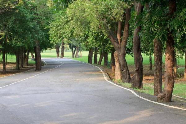 Wandelen manier in openbaar park — Stockfoto