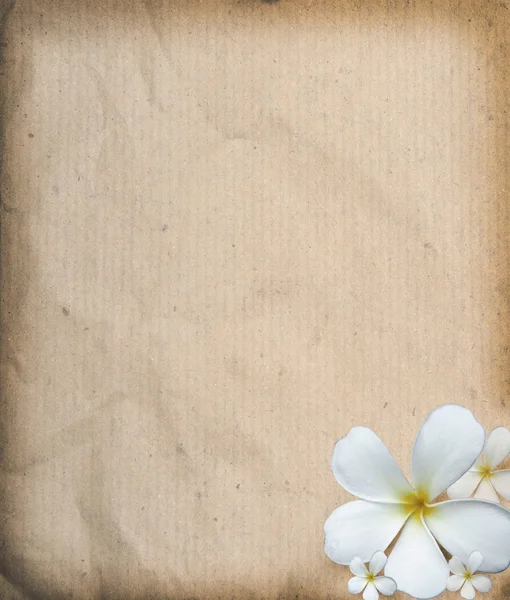 Old paper texture with frangipani flowers use as background — Stock Photo, Image