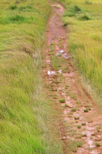 Wanderweg in den Bergen — Stockfoto