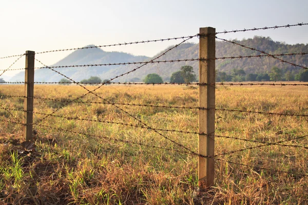 Ostnatý drát plotu a travnaté hřiště — Stock fotografie