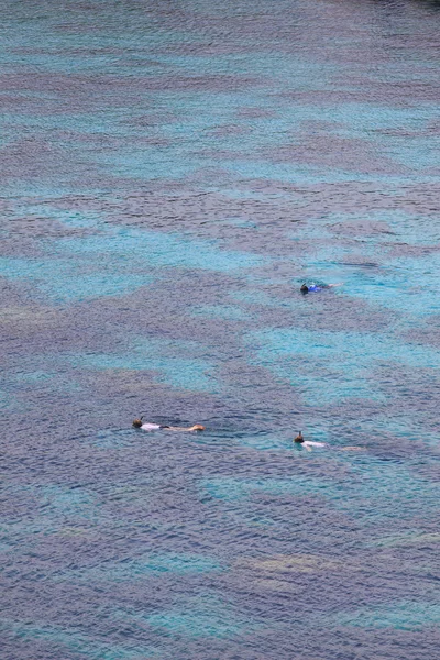 Dykning på havet — Stockfoto