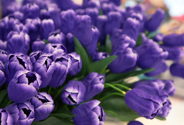 Purple tulip flowers arranged for decorated in house — Stock Photo, Image