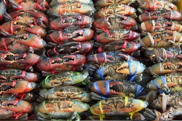 Crabes vivants dans un marché — Photo