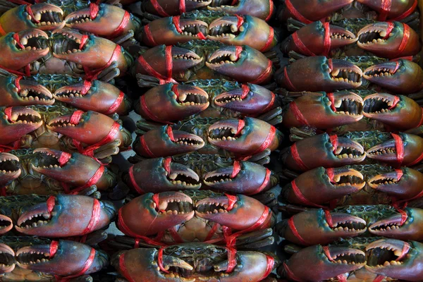Crabe vivant prêt à la vente pour cuisiner — Photo