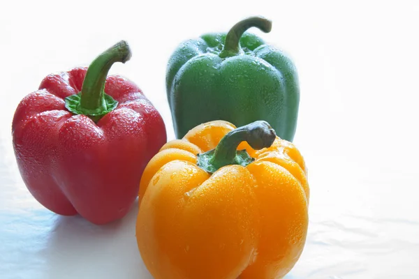 Red and yellow paprika chilli with freshness dew water in studio light — Stock Photo, Image