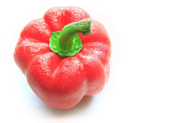 Red and yellow paprika chilli with freshness dew water in studio light — Stock Photo, Image