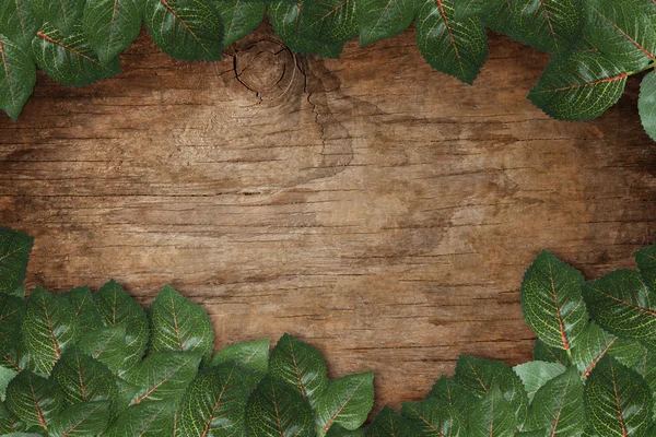 Green leaves on wood texture background — Stock Photo, Image