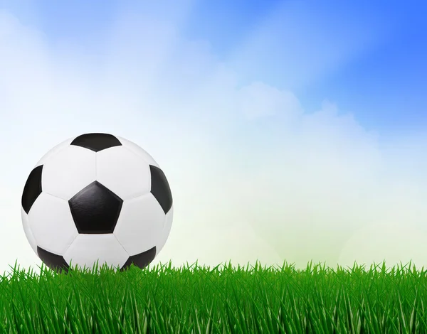 Soccer football on green field with blue sky background — Stock Photo, Image