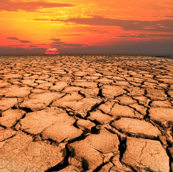 Dry and cracked land from natural disaster — Stock Photo, Image