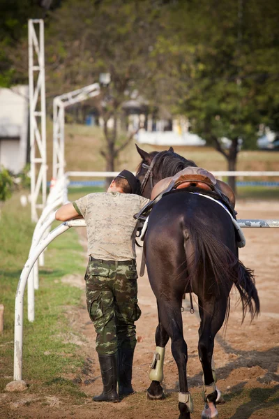 Cavalo e soldado — Fotografia de Stock
